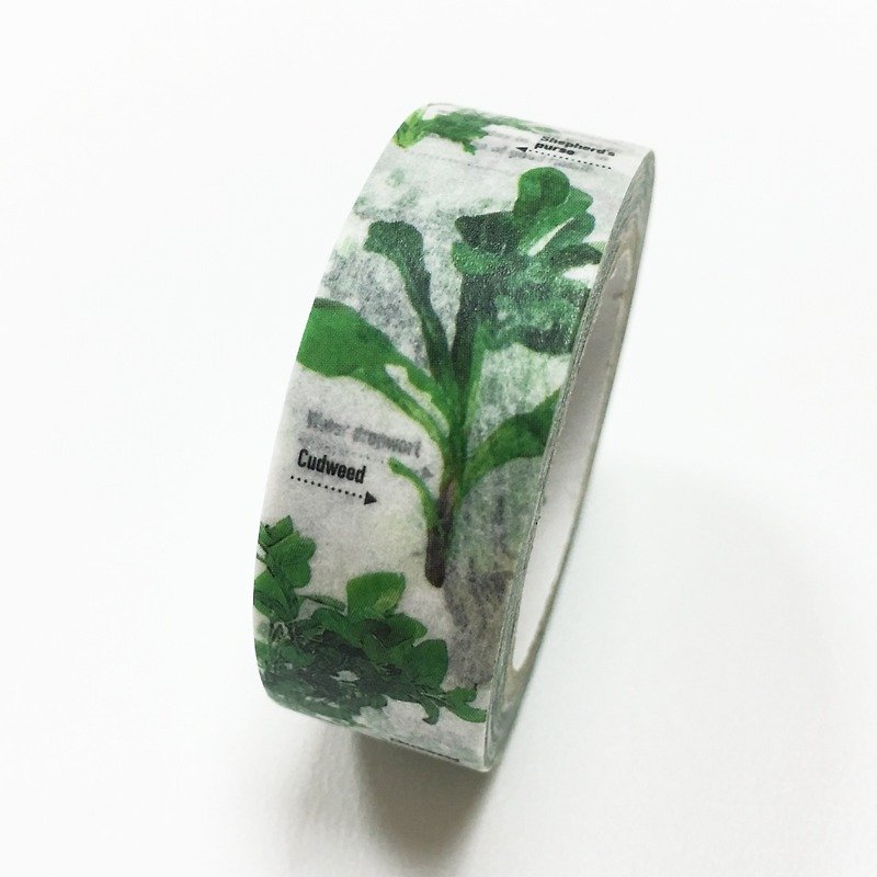 mt Masking Tape．mt x Okayama Castle【Spring Plants (MT01K909)】Limited Edition - มาสกิ้งเทป - กระดาษ สีเขียว