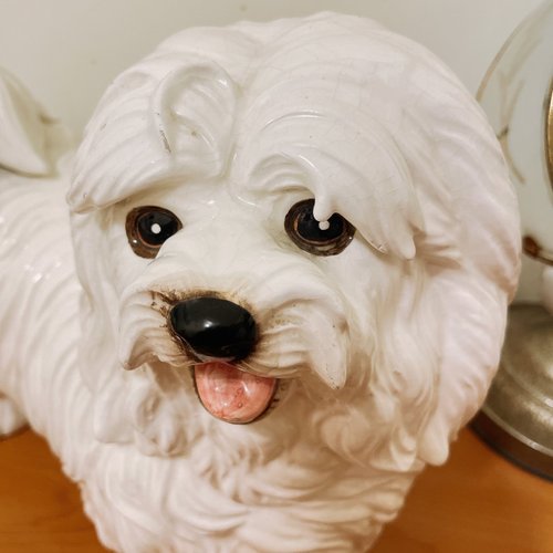 初期の陶器製マルチーズ犬の置物 - ショップ islandvintagetw
