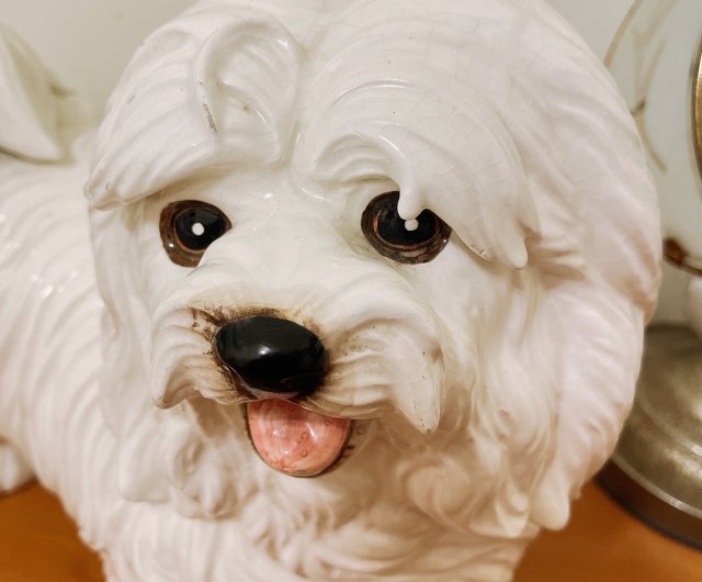 初期の陶器製マルチーズ犬の置物 - ショップ islandvintagetw