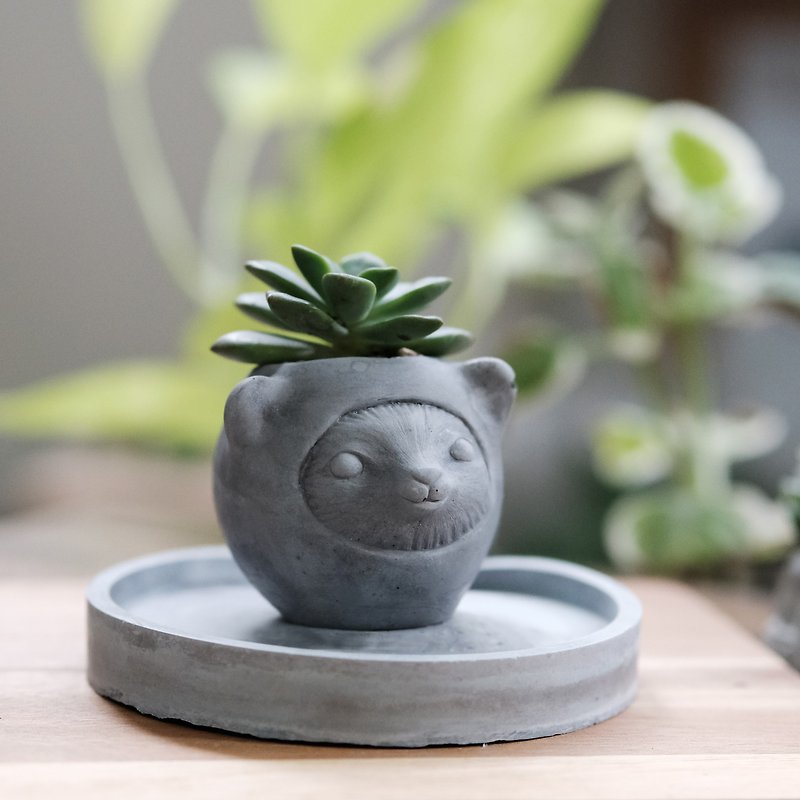 Customized potted plant gift simulation succulent animal shape Cement pot Cement decoration bear apple - ตกแต่งต้นไม้ - ปูน หลากหลายสี