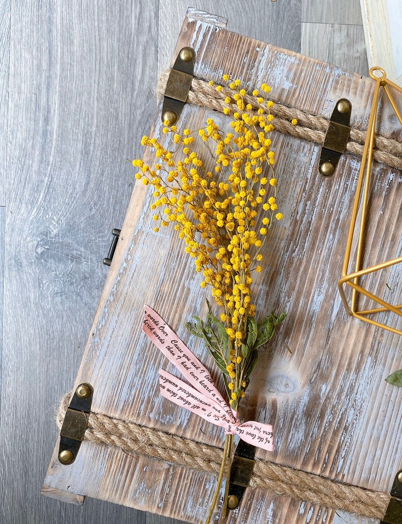 乾燥花-金合歡  MIMOSA 材料包 手作 DIY 乾燥花材 - 乾燥花/永生花 - 植物．花 黃色