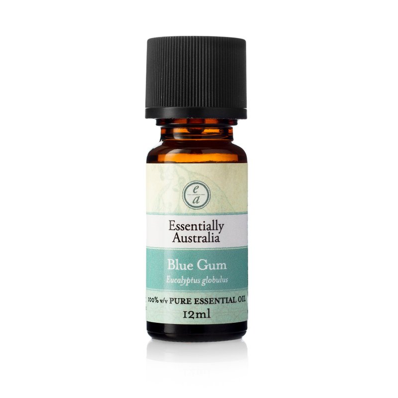 [Essential oil for epidemic prevention] Eucalyptus Blue Gum - Fragrances - Plants & Flowers Green