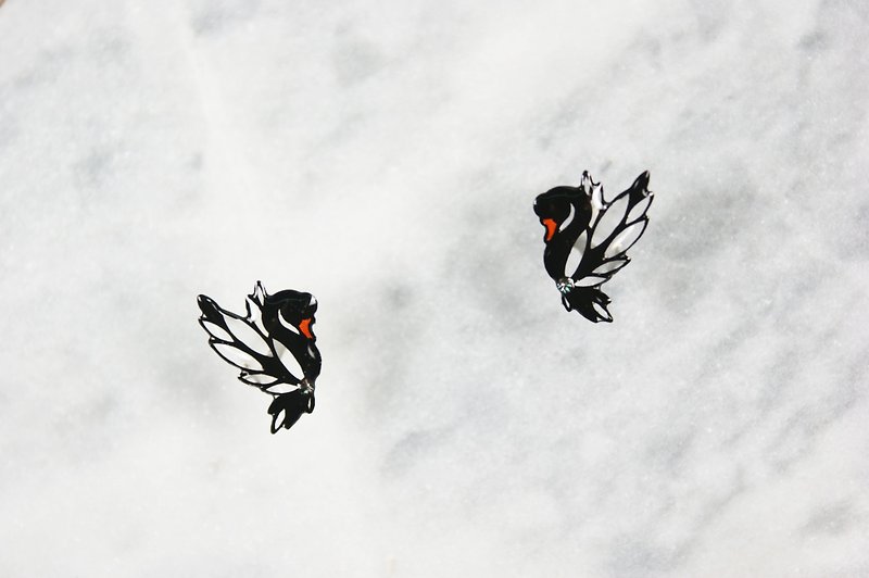 1 x 1 Series - Openwork Black Swan Earrings - ต่างหู - กระดาษ สีดำ