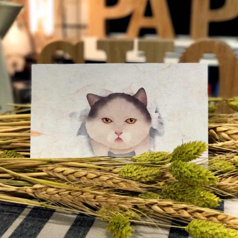 Paper Shoot《Butts》 Series Postcard - Kitten - การ์ด/โปสการ์ด - กระดาษ สีนำ้ตาล