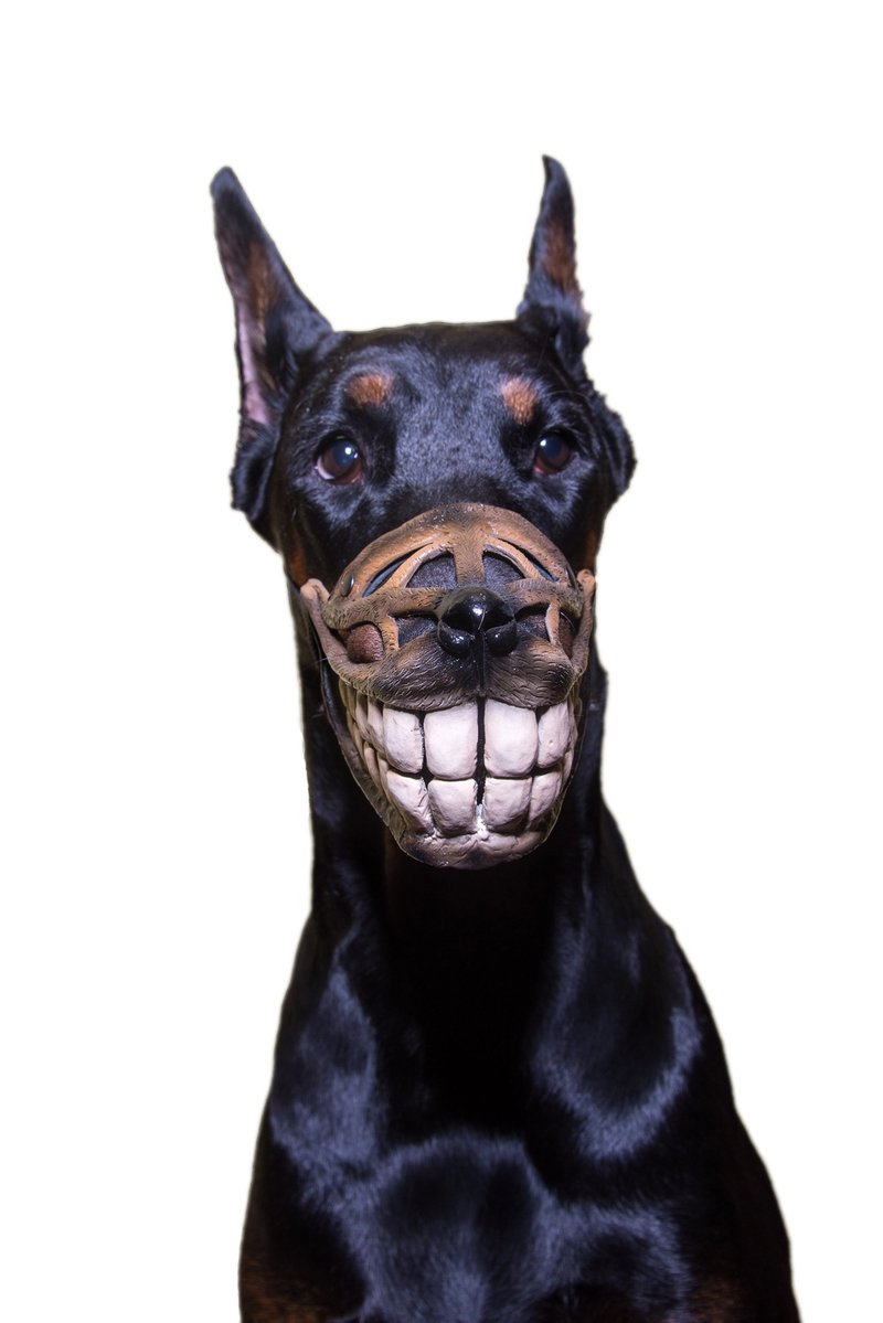 Pet Gift Funny dog muzzle Hand painted Smile Doberman muzzle Halloween Costume - อื่นๆ - พลาสติก หลากหลายสี