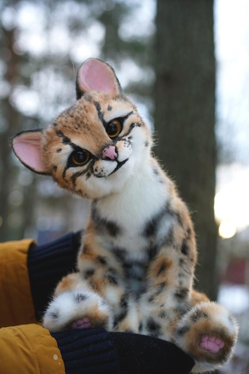 Ocelot kitten - ตุ๊กตา - วัสดุอื่นๆ หลากหลายสี