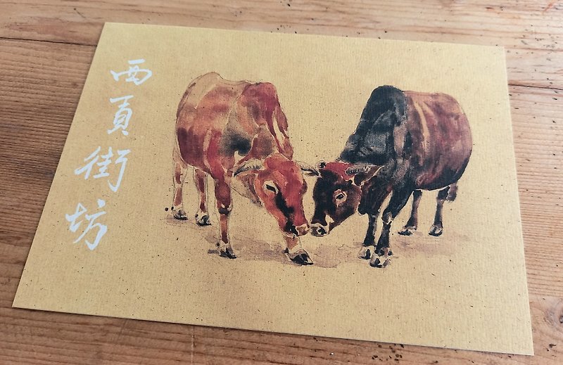 Sai Kung Cows - การ์ด/โปสการ์ด - กระดาษ 
