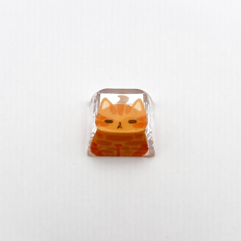 XDA keycap orange cat (Crystal Clear) - Computer Accessories - Plastic Transparent