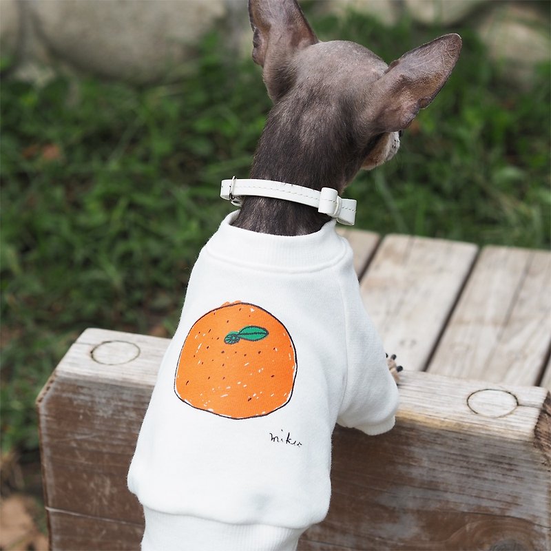 Mikan Dog's Sweatshirt 橘子 Tangerine - ชุดสัตว์เลี้ยง - ผ้าฝ้าย/ผ้าลินิน ขาว