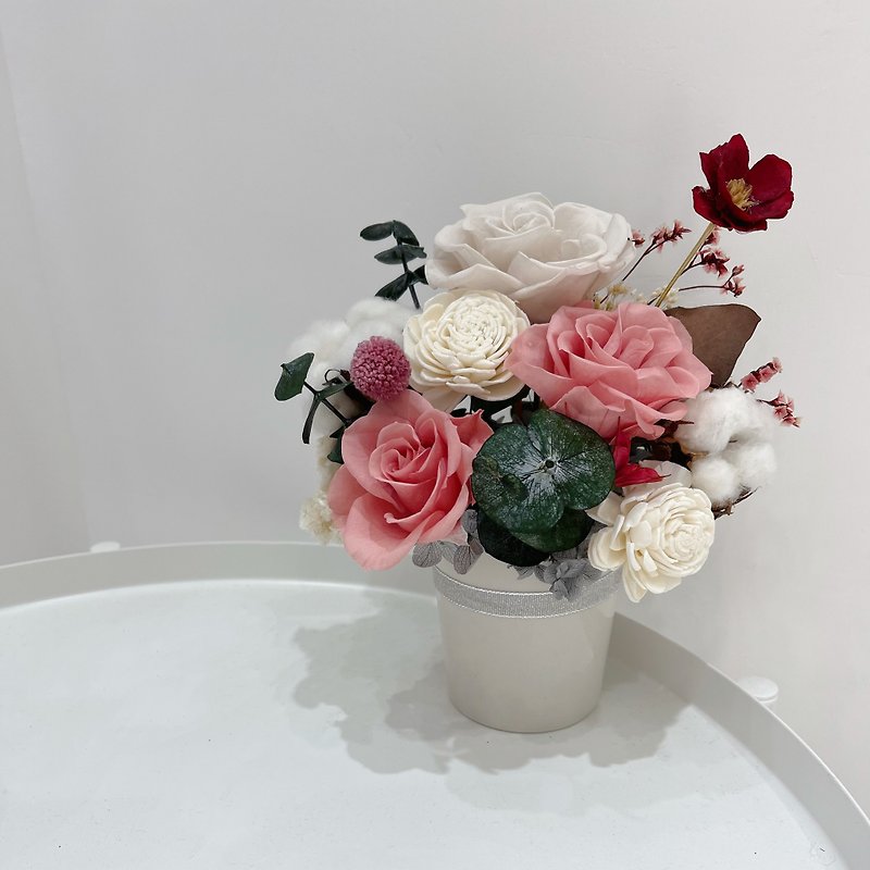 訂製款簡約系永生玫瑰盆花 - 乾燥花/永生花 - 植物．花 