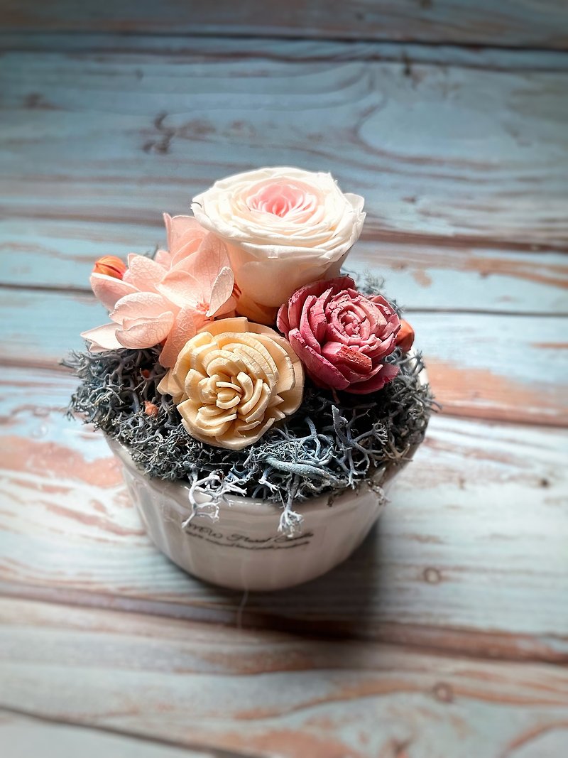 Immortal flower pot flower romantic color table flower Sola flower with fragrance - Fragrances - Plants & Flowers 