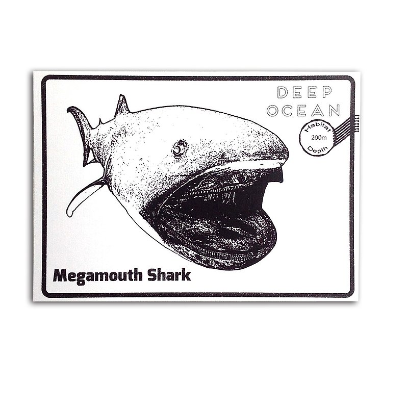 【Additional Purchase Only】Megamouth Shark Postcards - Cards & Postcards - Paper White