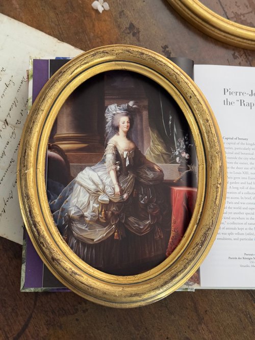 フランスアンティーク　絵画 額装品 フランスアンティーク額装 - メルカリ