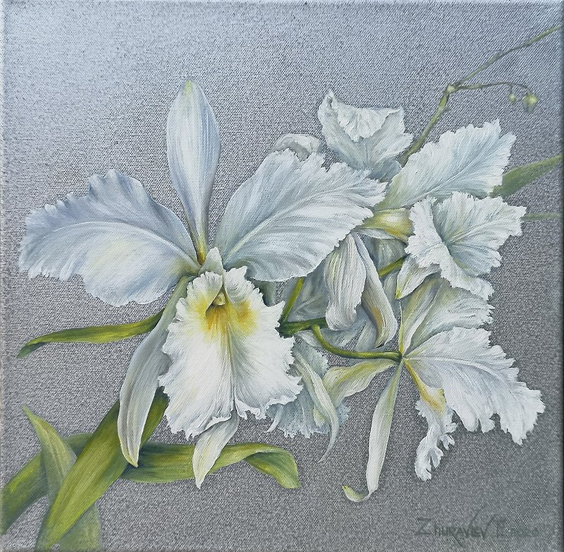 White Orchid Oil Painting Original Art on Canvas Flowers Wall Art 40x40 cm. - Posters - Cotton & Hemp 