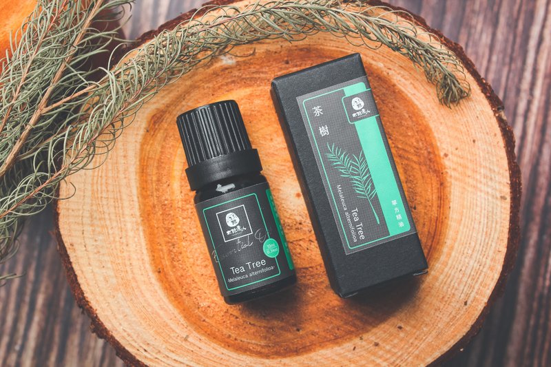 [Single essential oil] Tea tree essential oil 10ml natural/diffuse/massage/maintenance - Fragrances - Essential Oils Brown