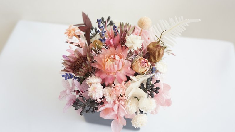 Sweet and pleasant dry pot flower without flower pot flower birthday gift anniversary office - Dried Flowers & Bouquets - Plants & Flowers Pink