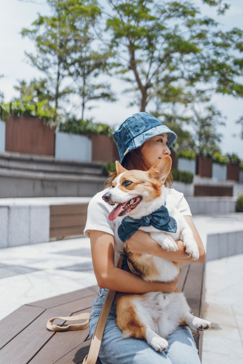 Denim Butterfly Series - Parent-child wear (bucket hat) - ชุดสัตว์เลี้ยง - ไฟเบอร์อื่นๆ 