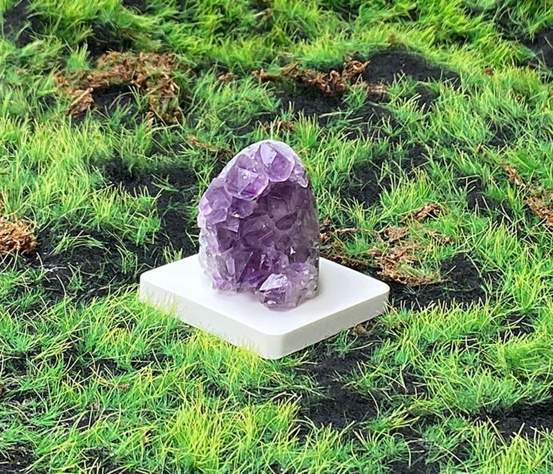 天然紫大牙 紫晶鎮 紫水晶 財運水晶 消磁淨化 增智慧 入厝送禮 - 擺飾/家飾品 - 水晶 紫色