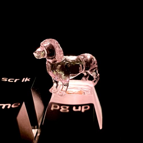 キーキャップ 犬 ミニチュアダックスフンド 透明 クリア