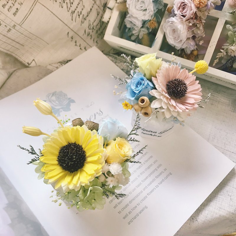 【Workshop(s)】Experience season summer fresh and fragrance spreading small potted plant online experience activity DIY material package teaching video
