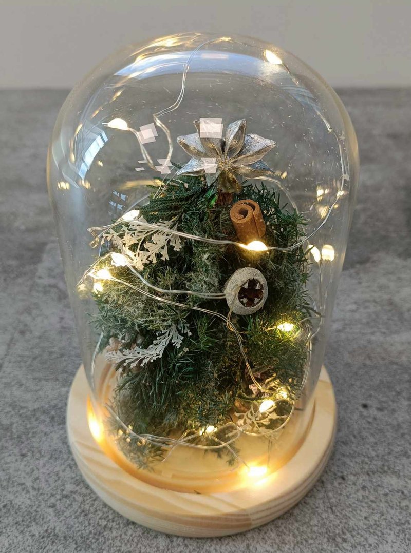 [DIY Material Pack] Christmas Tree Glass Cup Wedding Bouquet Eternal Dried Flowers Graduation Appreciation Gift Graduation - จัดดอกไม้/ต้นไม้ - พืช/ดอกไม้ 