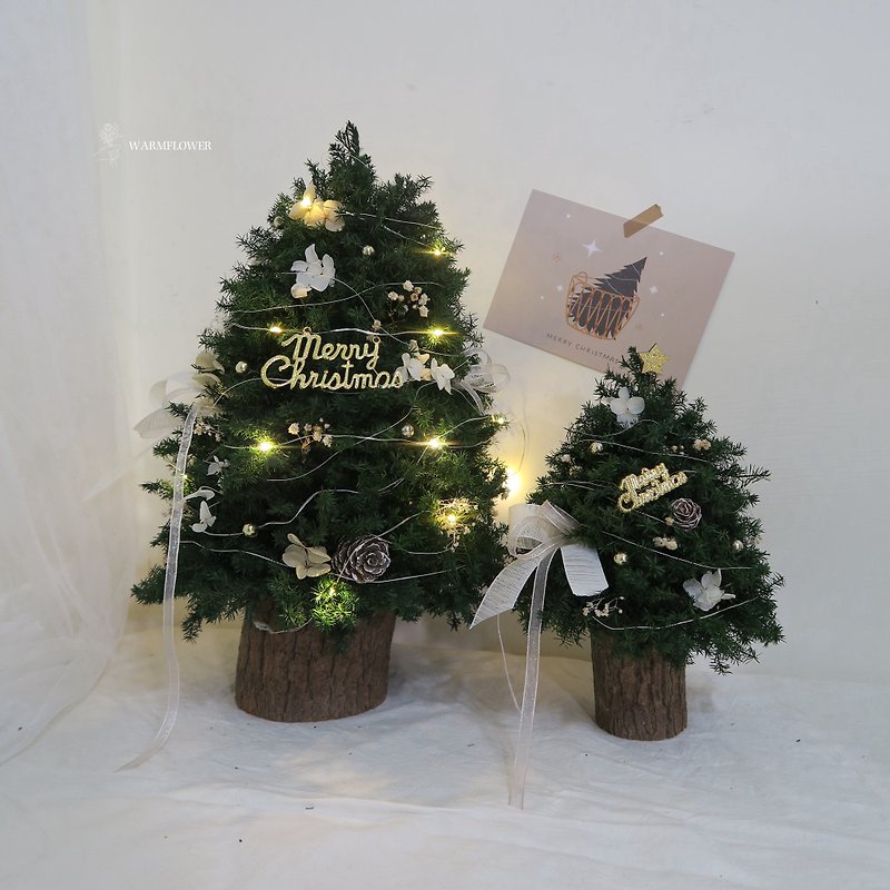 Everlasting Christmas Tree - [Make a Wish] | Everlasting Christmas Tree/Dried Flowers/DIY Material Pack/Christmas Gift - Dried Flowers & Bouquets - Plants & Flowers Green