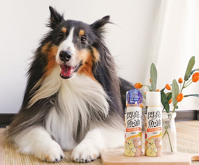 can i give my rough collie fish oil for humans