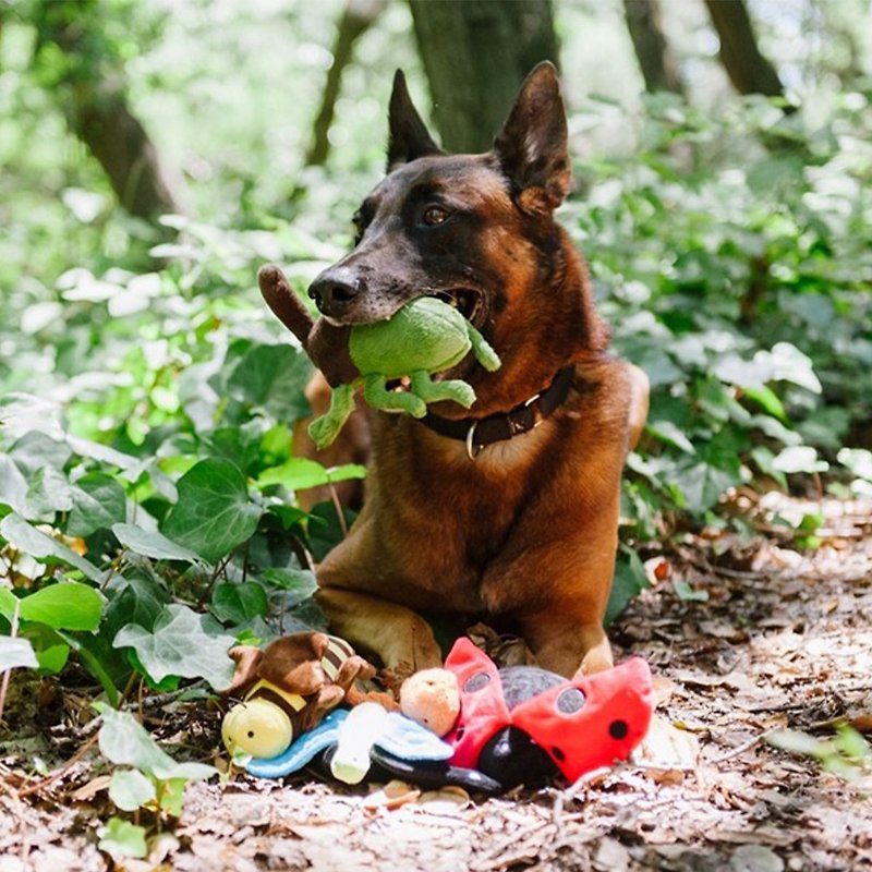 Bugging Out Collection(Dog toys) - Pet Toys - Eco-Friendly Materials 