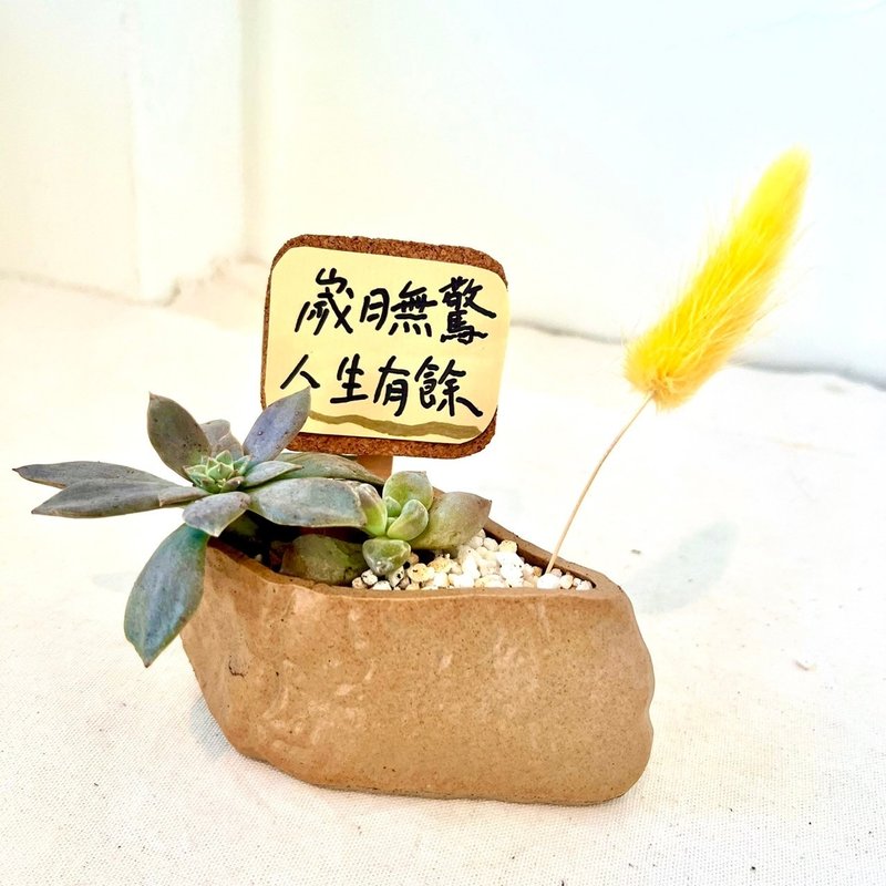 Japanese-style dry landscape succulent potted plants shaped like Stone held in the palm of the hand, customized gift-giving Japanese style - ตกแต่งต้นไม้ - พืช/ดอกไม้ สีเขียว