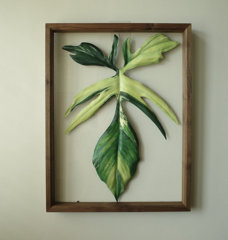 現貨 透明漂浮班葉龍爪 大幅展示作品 - 擺飾/家飾品 - 真皮 