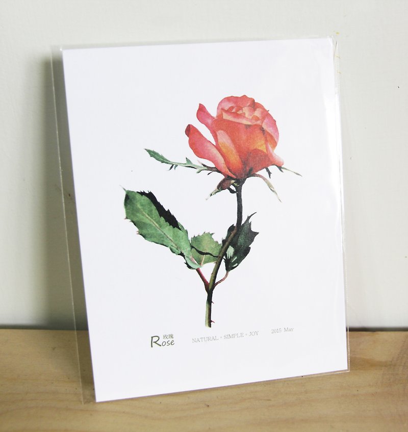 Xiang - NSJ Hand-painted Postcard Roses - การ์ด/โปสการ์ด - กระดาษ หลากหลายสี