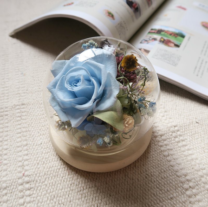 Custom-made fish swimming among aquatic plants / immortal flower glass ball dried flower gift home decoration - ช่อดอกไม้แห้ง - พืช/ดอกไม้ สีน้ำเงิน