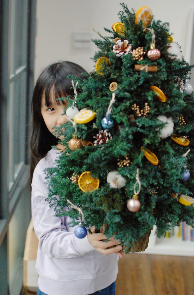 Everlasting Cedar Christmas Tree - จัดดอกไม้/ต้นไม้ - พืช/ดอกไม้ 