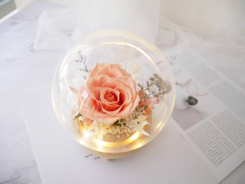 Non-withered flower glass shade night light [soft light peach] Valentine's Day Gift/Birthday/Anniversary/Mother's Day Gift - ของวางตกแต่ง - พืช/ดอกไม้ สีส้ม