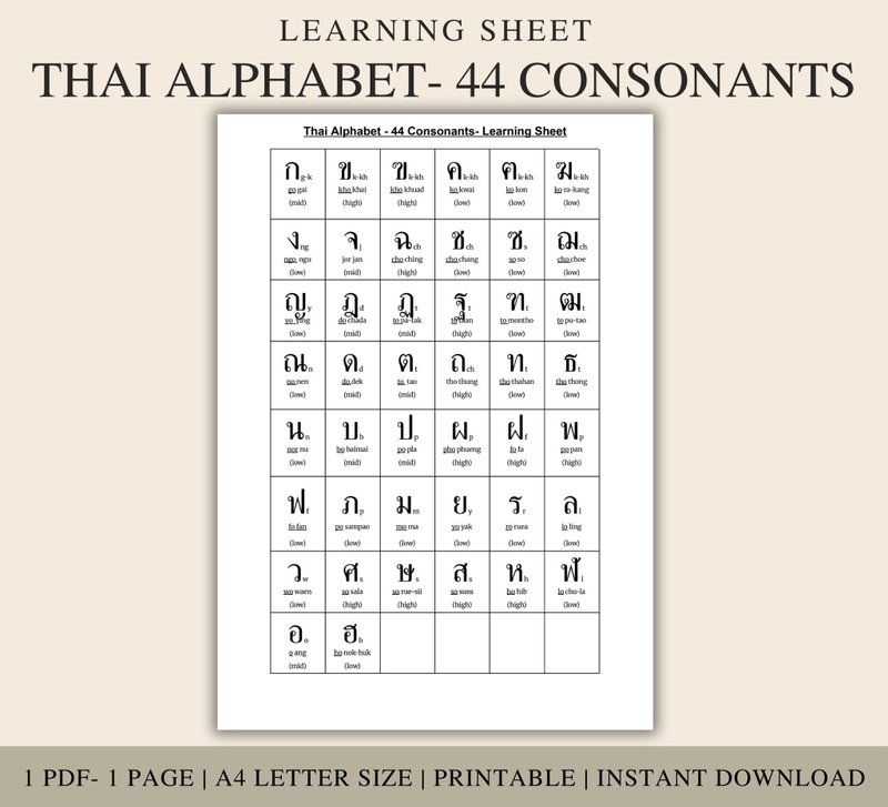 Thai Alphabet: 44 Consonants Learning Sheet for Kids & Beginners (Printable PDF) - 電子手帳及素材 - 其他材質 