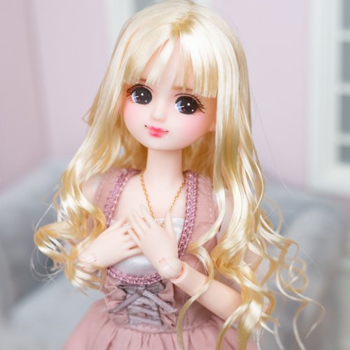 キャッスル製 リカちゃん メイクカスタム *Annika* - ショップ
