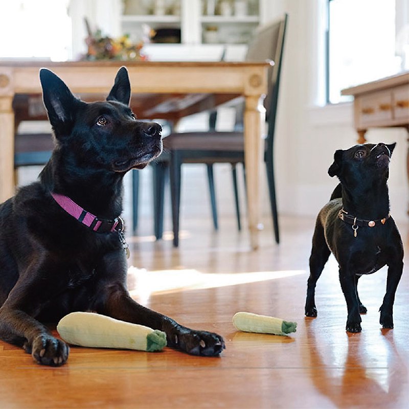 ペット おもちゃ 犬 ヘルシーな果物と野菜のバスケット ズッキーニ (XS M) 鳴き声 - おもちゃ - サステナブル素材 