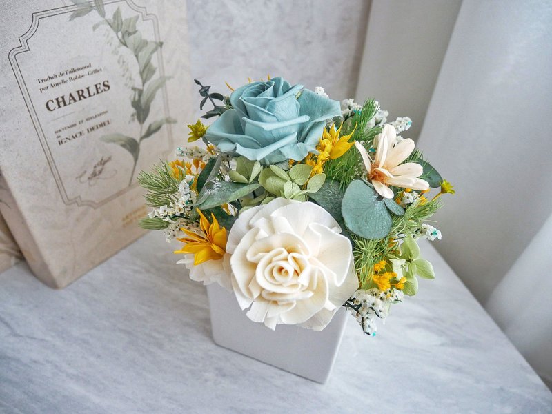 Small and medium-sized potted flowers in square pots [Pine Green Wonderland]/Opening/Office Decoration - Plants - Plants & Flowers Green