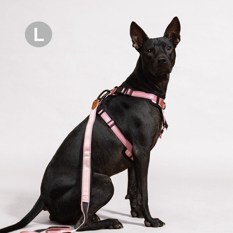 Pawfect-Fit! Pet Harness 機能寵物胸背帶2.0(L) - 項圈/牽繩 - 聚酯纖維 