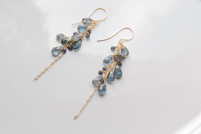 Kyanite and iolite fruit earrings 14kgf - Earrings & Clip-ons - Semi-Precious Stones Blue