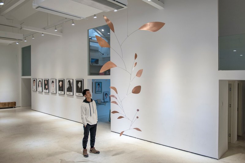 Alexander Calder mobiles - Other - Other Metals 