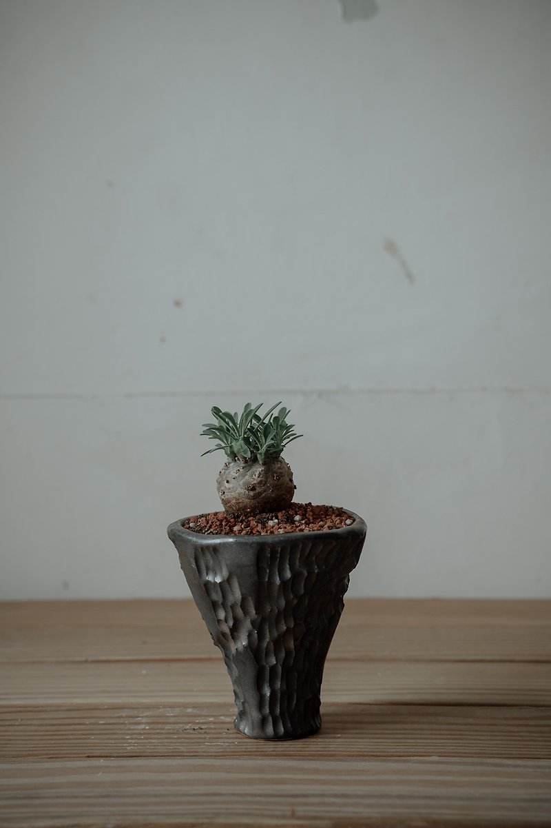 Hand pinch black metal color pots - Plants - Pottery Black