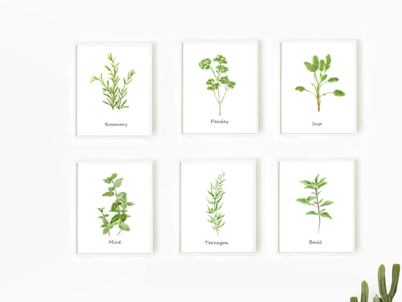 Kitchen Decor, Set of 6 Herb Painting Print, Botanical Print Wall Art - โปสเตอร์ - กระดาษ 