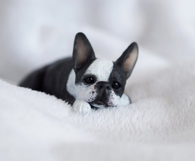 are there miniature boston terriers