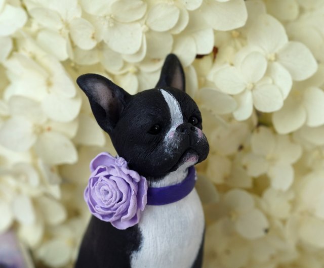 are there miniature boston terriers