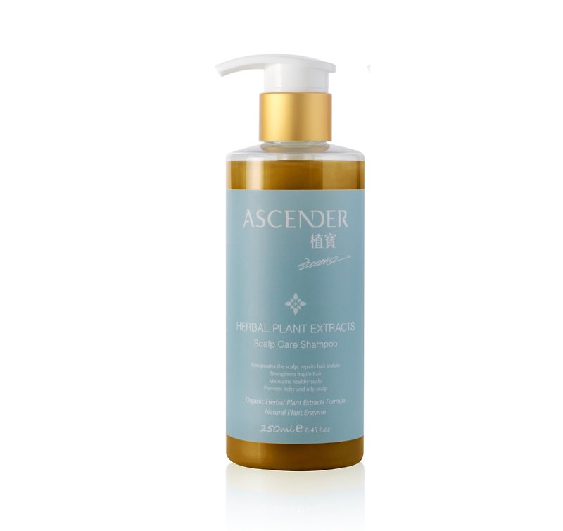 [Strengthen hair roots to cleanse pores] Scalp conditioning shampoo 250ml - แชมพู - วัสดุอื่นๆ สีกากี