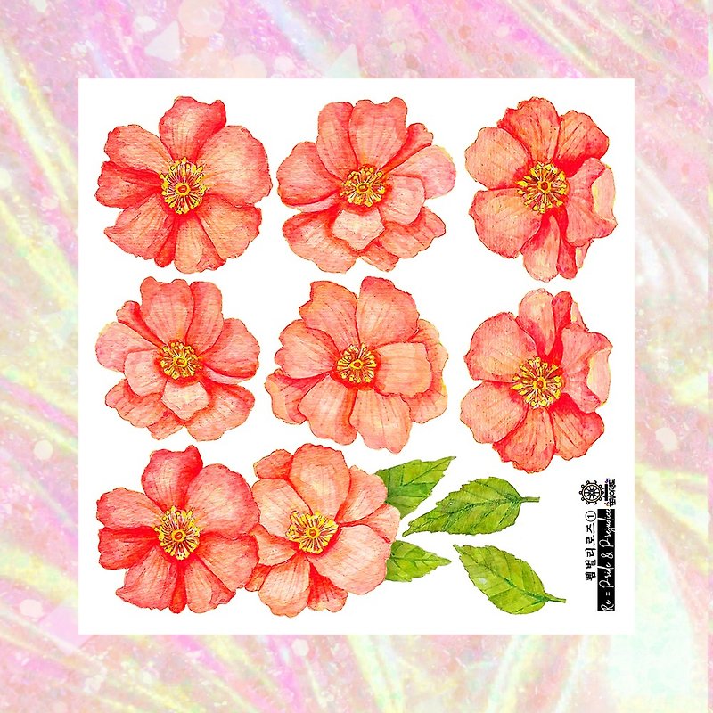 *Pemberley Rose Stickers (6colors) - สติกเกอร์ - กระดาษ 