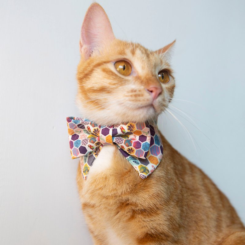 Pets Collar with Bowties in Honeycomb Pattern in Multi-color - Collars & Leashes - Other Man-Made Fibers Multicolor