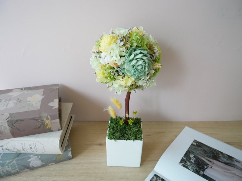 Permanent Hydrangea Ball Tree Potted Flower [Early Summer Harmony] Opening Ceremony/New Home/Business Card Holder/Customized - Plants - Plants & Flowers Green