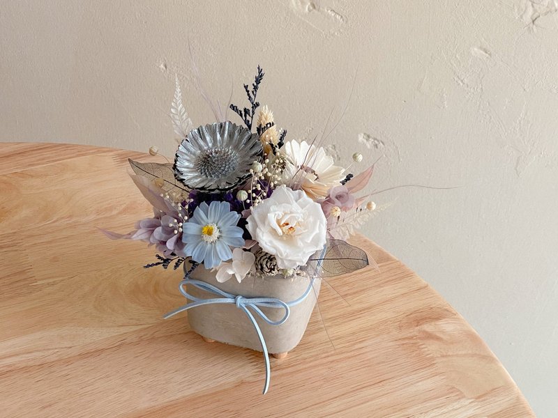 Fresh Cement - Dried Flowers & Bouquets - Plants & Flowers 